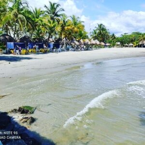 210603342_907723659787472_7958073071358440821_n