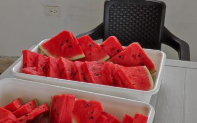 IMG-20241114-WA0012